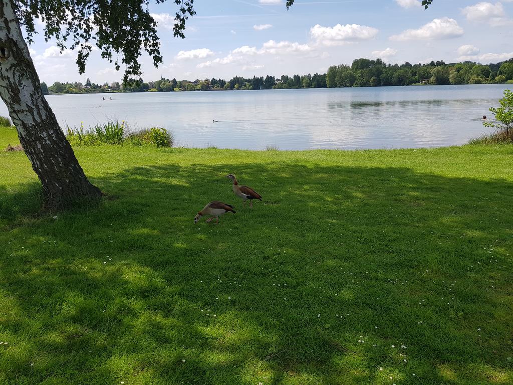 Ferienhaus Am See Hungen Exterior foto